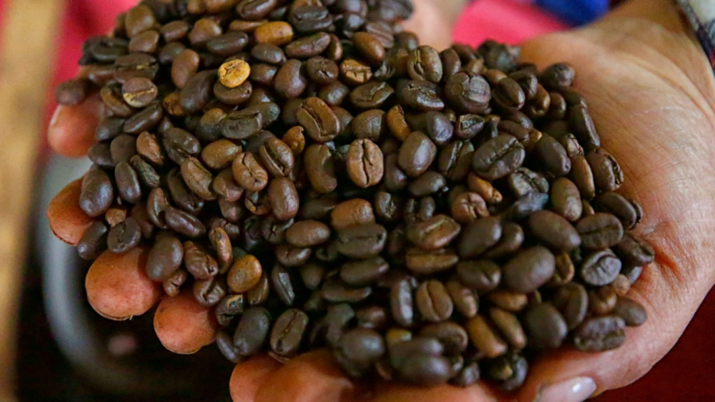 imagen web Maycol (22)