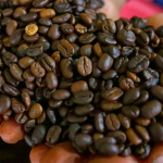 imagen web Maycol (22)