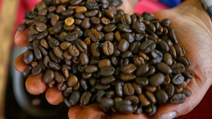 imagen web Maycol (22)