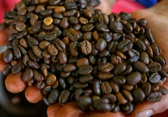 imagen web Maycol (22)