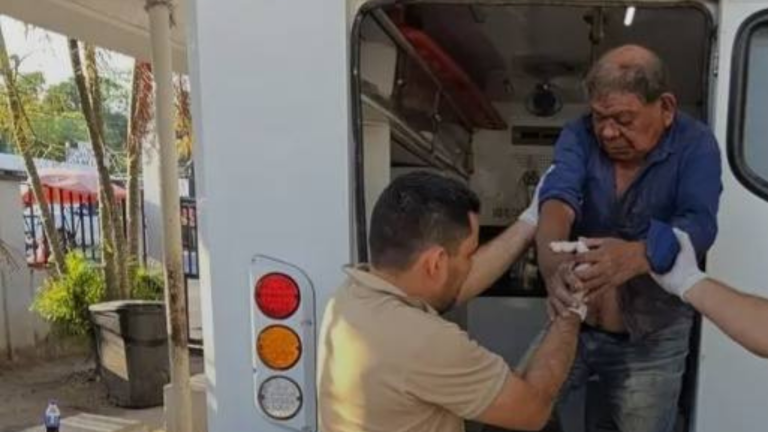 imagen web Maycol (24)