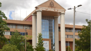 imagen web Maycol (26)