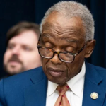 imagen web Maycol (27)