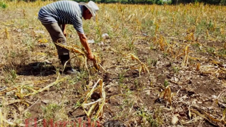 imagen web Maycol (29)