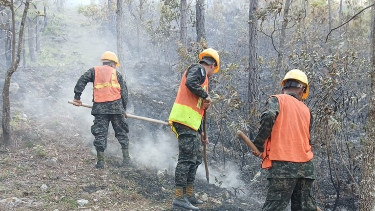 imagen web Maycol (34)