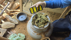 imagen web Maycol (35)