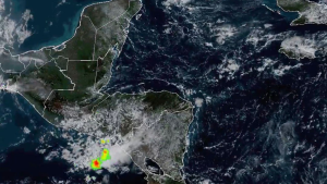 imagen web Maycol (36)