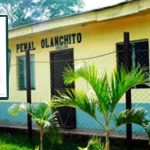 imagen web Maycol (37)