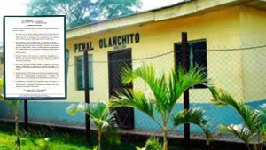 imagen web Maycol (37)