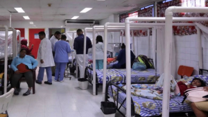 imagen web Maycol (42)