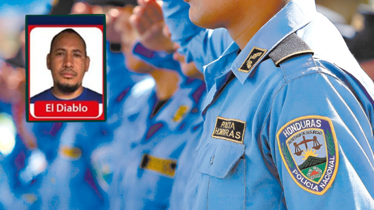 imagen web Maycol (45)