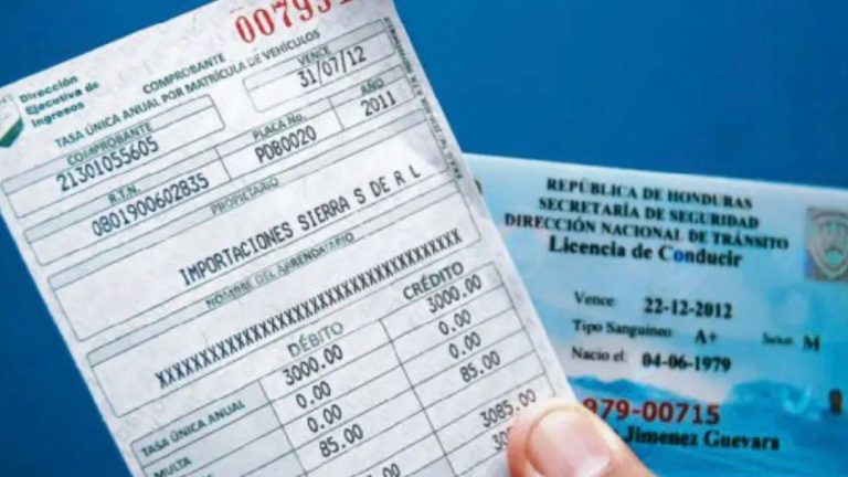 imagen web Maycol (5)