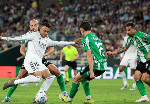 imagen web Maycol (50)