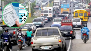 imagen web Maycol (51)