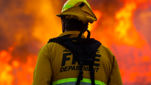 imagen web Maycol (53)