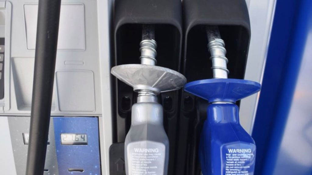 imagen web Maycol (55)