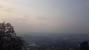 imagen web Maycol (57)