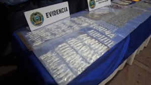 imagen web Maycol (6)