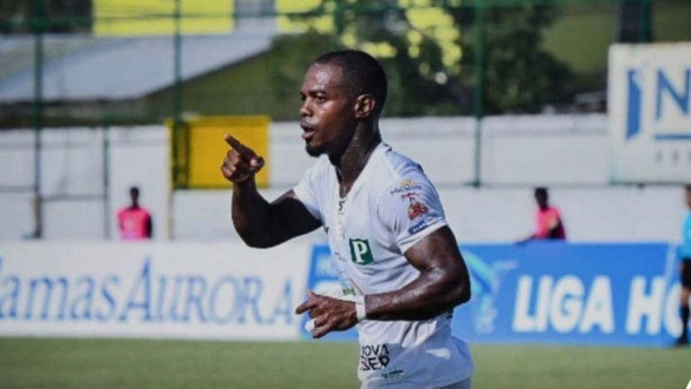 imagen web Maycol (6)