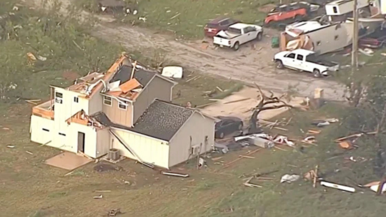 imagen web Maycol (62)