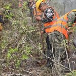 imagen web Maycol (8)