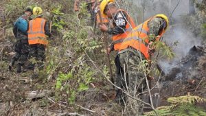 imagen web Maycol (8)