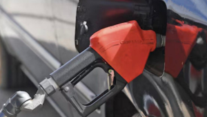 imagen web Maycol (9)