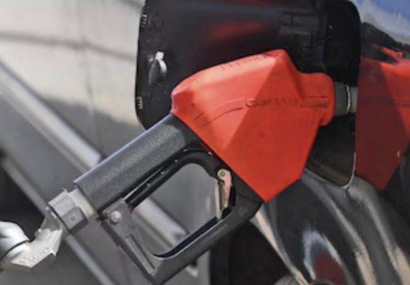 imagen web Maycol (9)