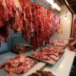 CARNE