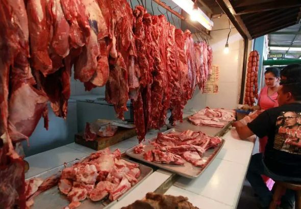 CARNE