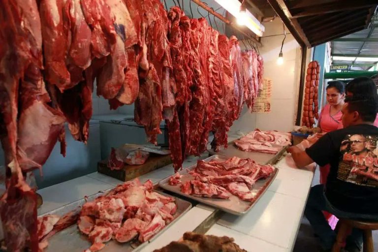 CARNE