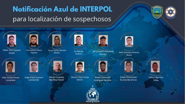 Web - 2026-05-22T142328.258