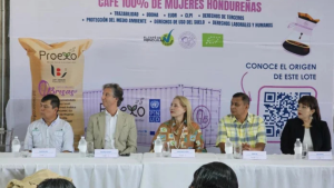 imagen web Maycol (2)
