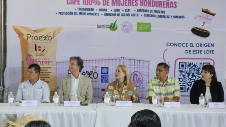 imagen web Maycol (2)