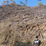 imagen web Maycol - 2026-05-15T213806.649