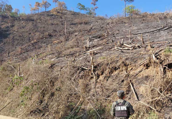 imagen web Maycol - 2026-05-15T213806.649