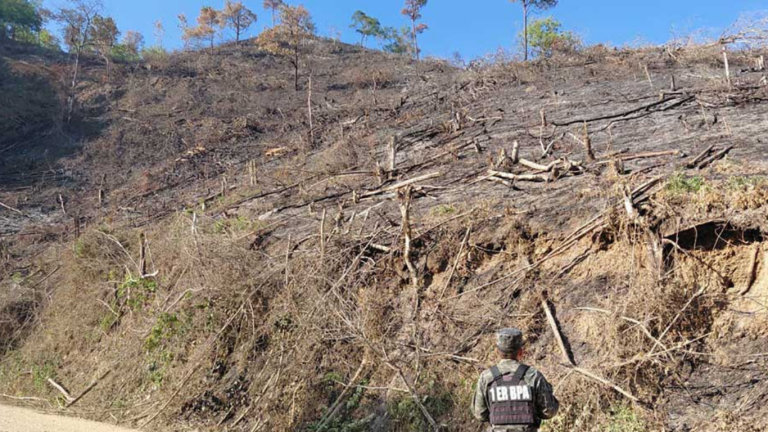 imagen web Maycol - 2026-05-15T213806.649