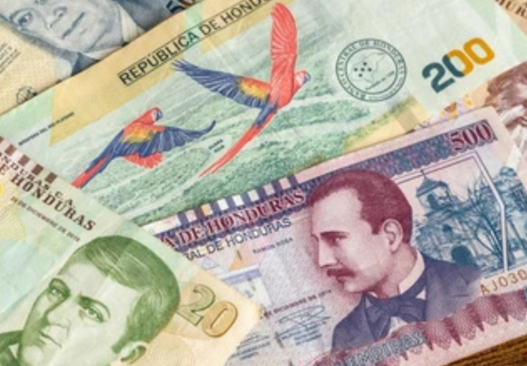 imagen web Maycol - 2026-05-27T223242.269
