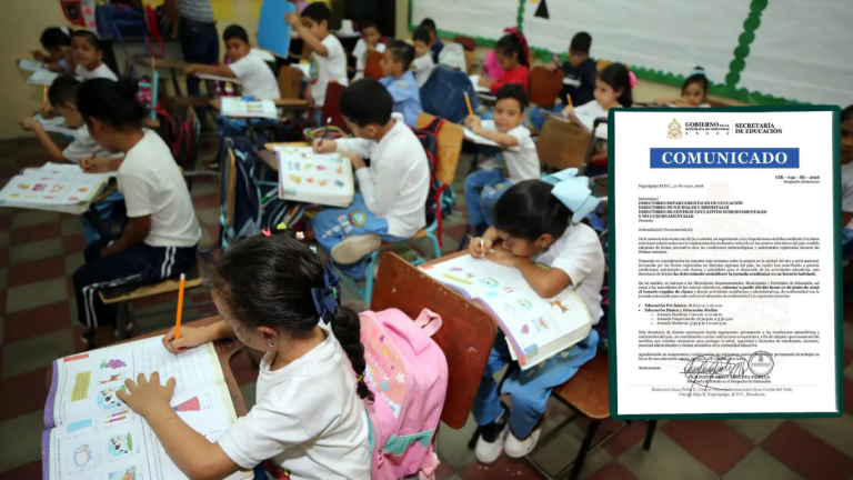imagen web Maycol - 2026-05-30T184809.913