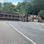 imagen web Maycol - 2026-05-31T082337.217