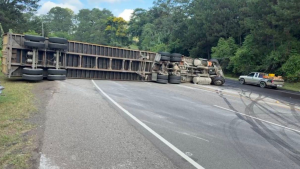 imagen web Maycol - 2026-05-31T082337.217