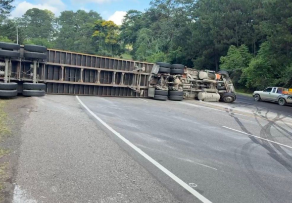 imagen web Maycol - 2026-05-31T082337.217