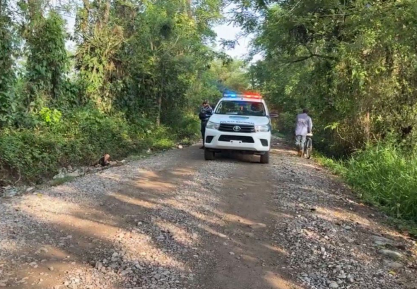 imagen web Maycol - 2026-05-31T084449.529