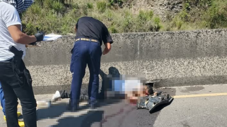 imagen web Maycol - 2026-05-31T111357.443