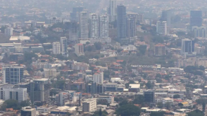 imagen web Maycol (22)