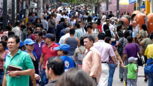 imagen web Maycol (23)