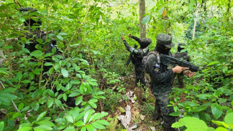imagen web Maycol (26)