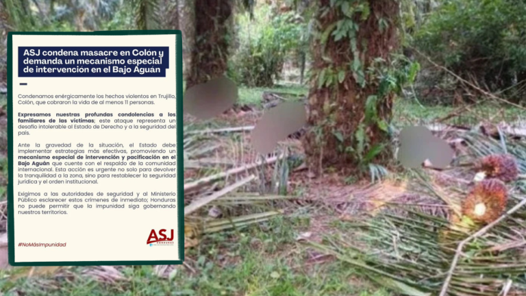 imagen web Maycol (29)