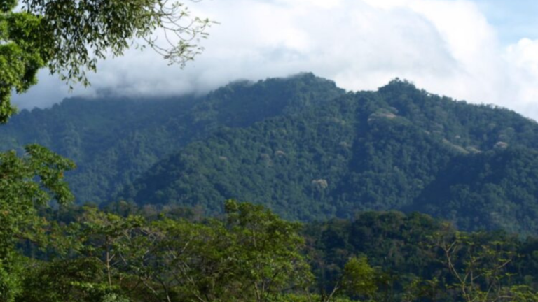 imagen web Maycol (30)