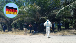 imagen web Maycol (33)